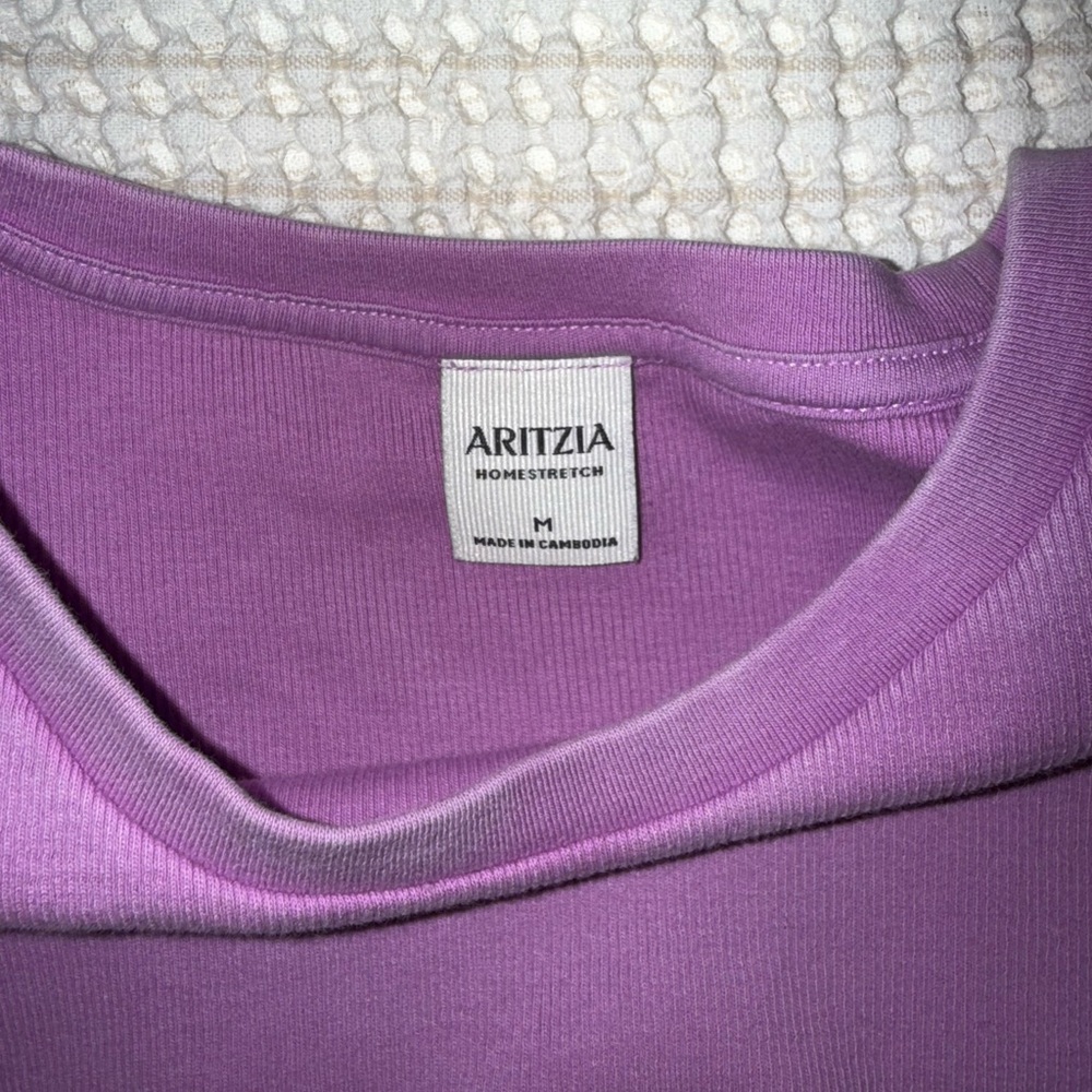 Aritzia homestretch crop tee